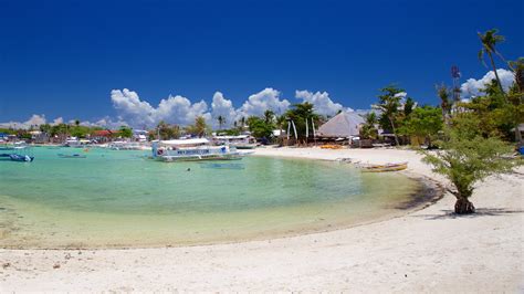 Daanbantayan: 6013 .